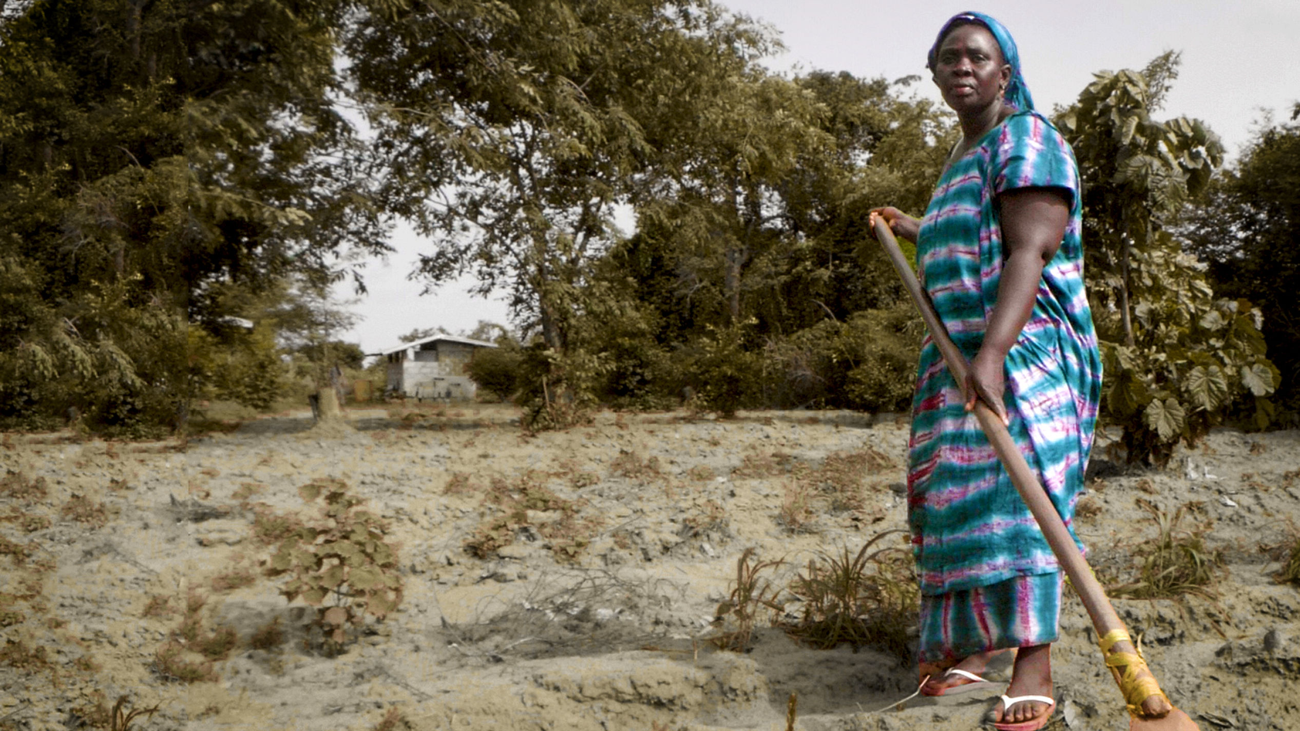Feeding a Crisis: Africa's Manufactured Hunger Pandemic